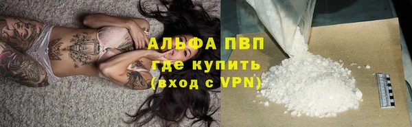 гидропоника Гусиноозёрск