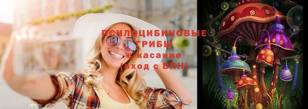 гидропоника Гусиноозёрск