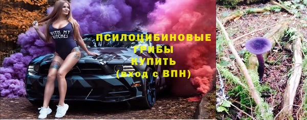 гидропоника Гусиноозёрск