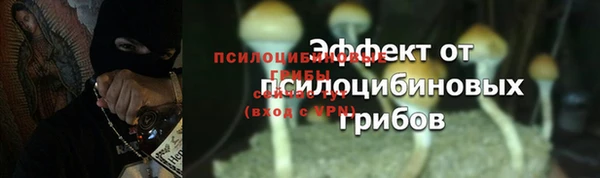 первитин Гусев
