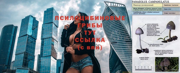 мескалин Гусь-Хрустальный