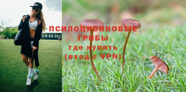 мескалин Гусь-Хрустальный