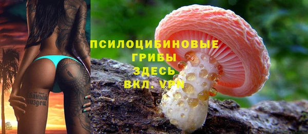 мескалин Гусь-Хрустальный