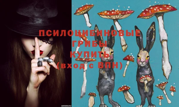первитин Гусев