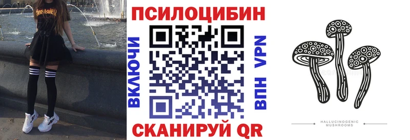 Купить закладки  Руза  Псилоцибиновые грибы прущие грибы 